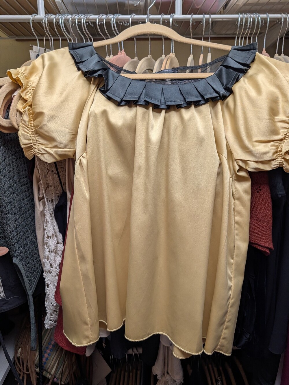People's Market Silk Top, Vintage with Black Pleated Collar and Butterfly Mesh